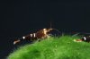 IMG_5622.jpg