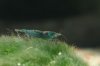 IMG_5738.jpg