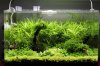 k-IMG_1074.JPG