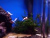 20130527_190222 - Kopie.jpg