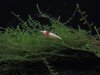DSCN1891.JPG
