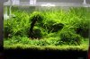 k-IMG_1131.JPG
