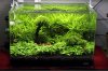 k-IMG_1145.JPG