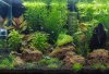 aquascape_001_p.jpg