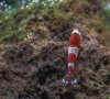 aquascape_003_p.jpg