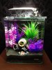 NanoCube20l.jpg