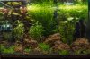 Aquascape-4.jpg