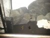20140227_171712.jpg