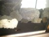 20140227_171719.jpg