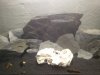 20140227_171824.jpg
