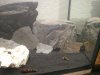 20140227_171828.jpg