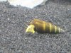 20140227_171937.jpg