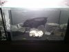 20140227_211047.jpg