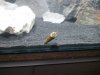 20140227_211053.jpg
