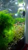 WP_20140311_17_48_49_Pro.jpg