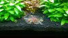 WP_20140311_17_50_39_Pro.jpg
