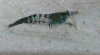 WP_20140303_018.jpg