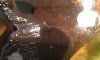 WP_20140312_020.jpg