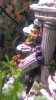IMAG0342.jpg