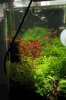 k-IMG_1177.JPG