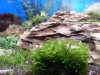 Aquarium_015.jpg