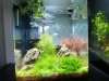 Aquarium_002.jpg