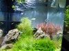 Aquarium_004.jpg