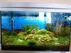 Aquarium_007.jpg