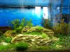 Aquarium_008.jpg