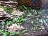 Aquarium_009.jpg
