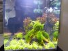 Aquarium_011.jpg