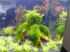 Aquarium_014.jpg
