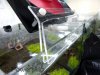 Aquarium_cooler015.jpg