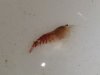 20140328_162451.jpg
