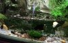 Aquarium3.jpg
