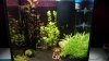 20140409_210549.jpg