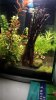 20140409_210613.jpg