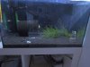 DSCN2175.JPG