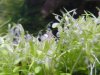 april_neu004.jpg