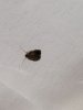 schnecke1.jpg