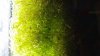 20140510_205709.jpg