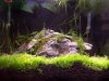 vallicube120408.jpg