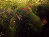 rfcube120408.jpg