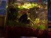 naturecube120408.jpg