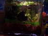 naturecube120408a.jpg