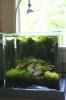 bwrwcube200408 017.jpg