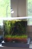 yfcube200408.jpg