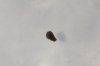 DSC_0586.JPG