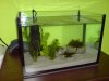 DSC00137.JPG