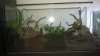 WP_20140524_001.jpg